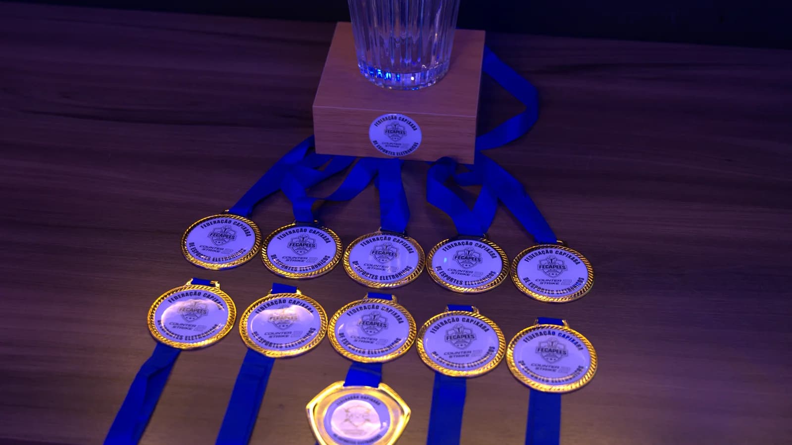 Troféu e as dez medalhas da Copa FECAPEES Season 1 sobre a mesa