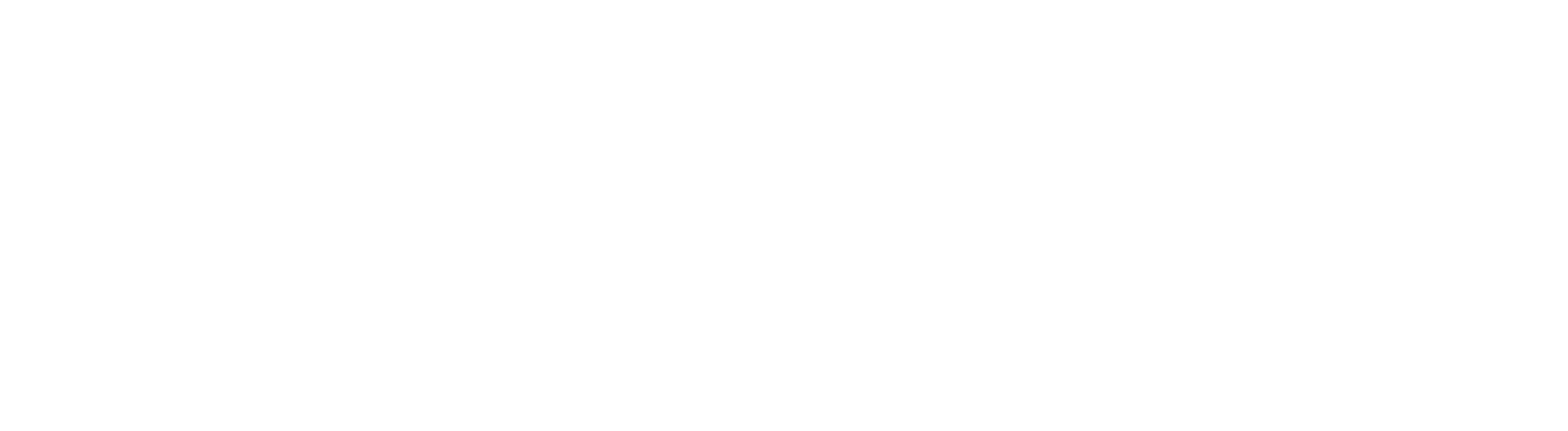 BYD Vitória Motors